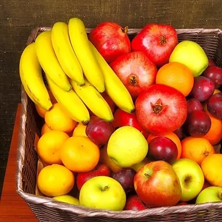 مودوس اسطنبول