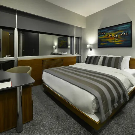 Modus 4* Istambul