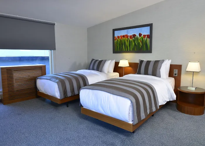 Modus イスタンブール